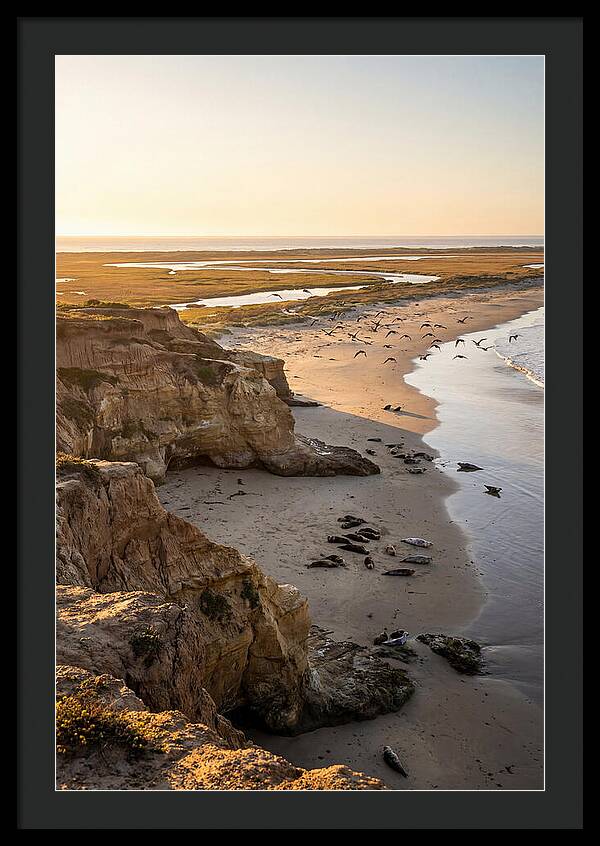 Sachuest Point Serenity