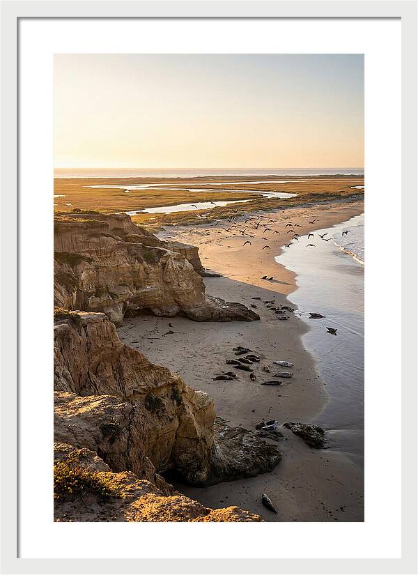Sachuest Point Serenity