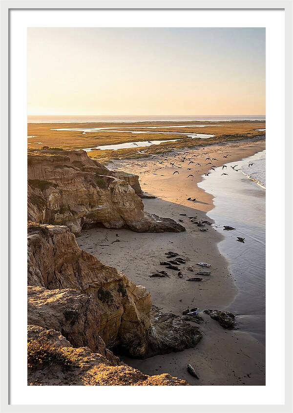 Sachuest Point Serenity