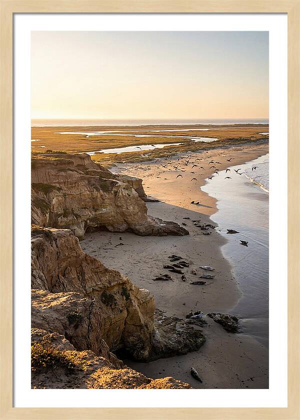 Sachuest Point Serenity