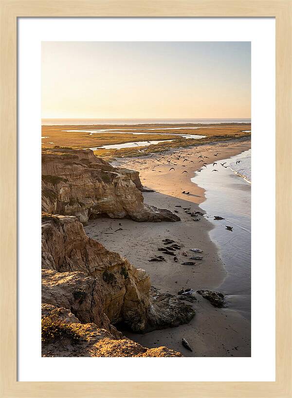 Sachuest Point Serenity