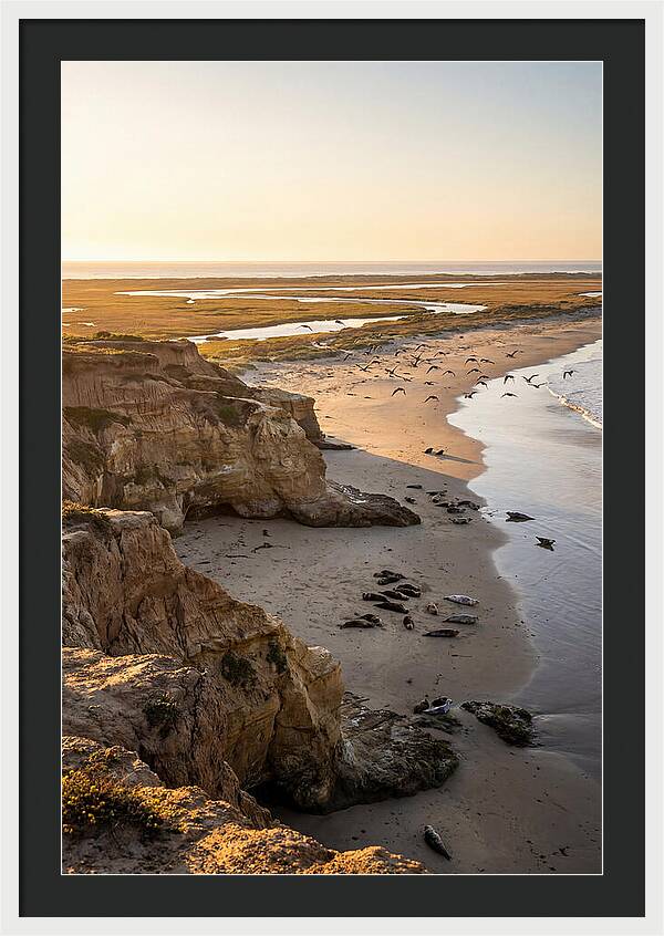 Sachuest Point Serenity