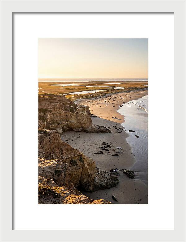 Sachuest Point Serenity