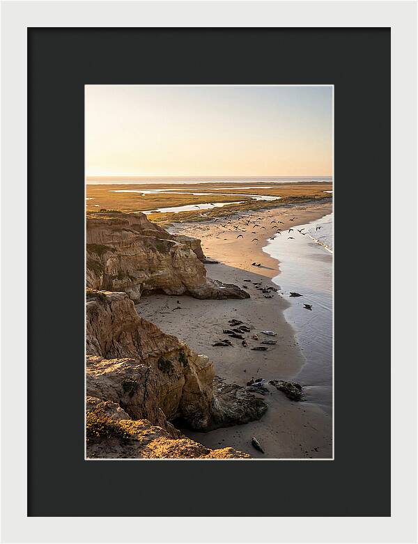 Sachuest Point Serenity