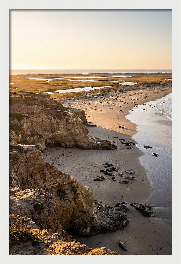 Sachuest Point Serenity