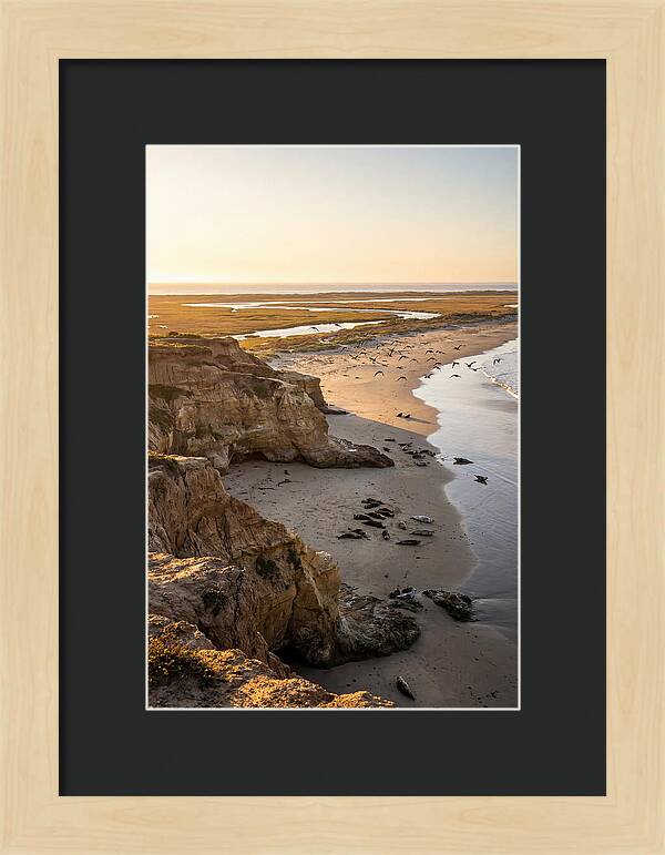 Sachuest Point Serenity