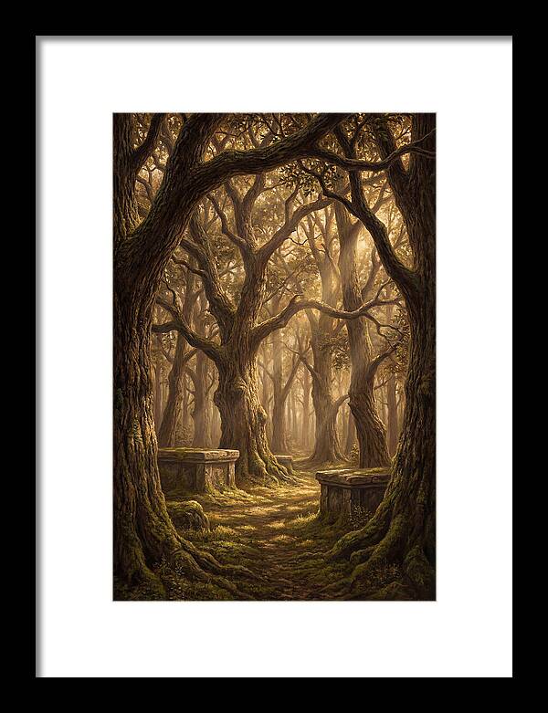Sacred Grove Of Ancient Trees