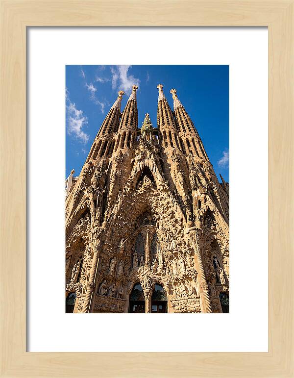 Sagrada Familia From Below