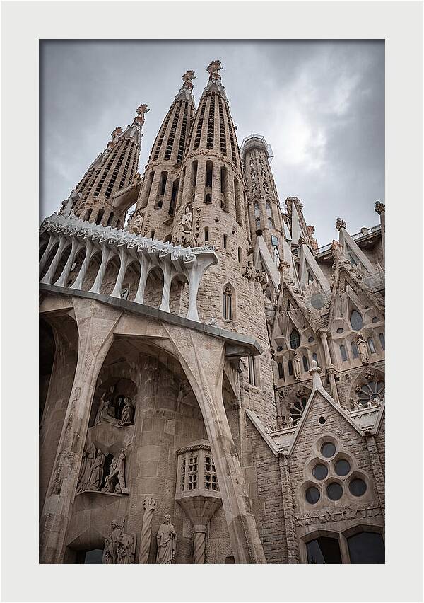 Sagrada Familia Spires From Below