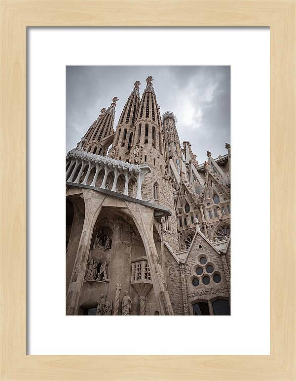 Sagrada Familia Spires From Below