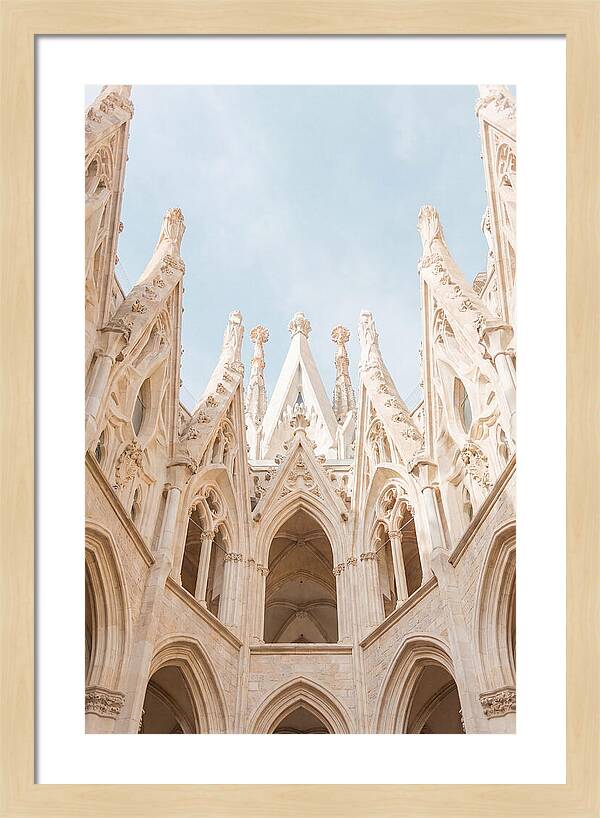 Sagrada Familias Grand View