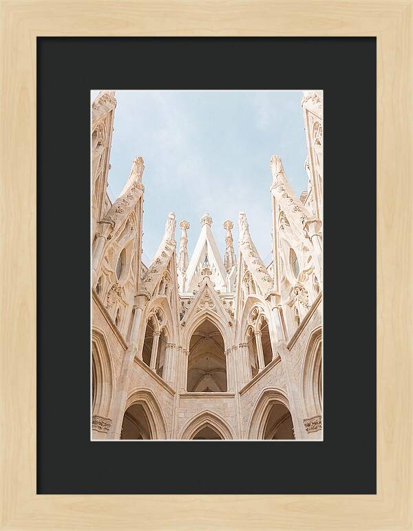 Sagrada Familias Grand View