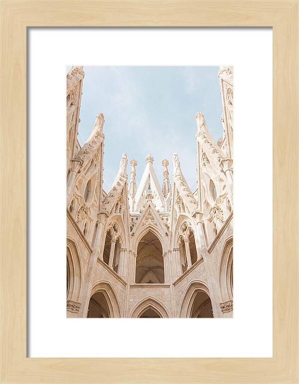 Sagrada Familias Grand View