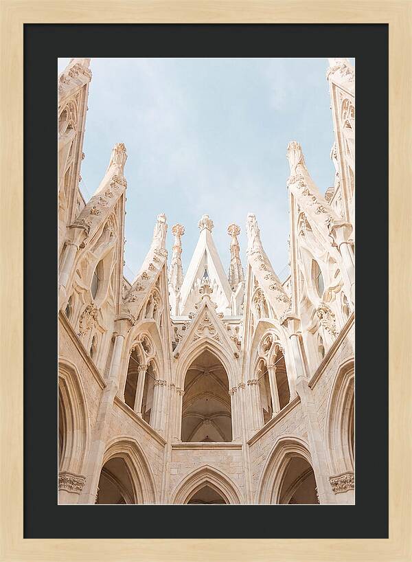 Sagrada Familias Grand View