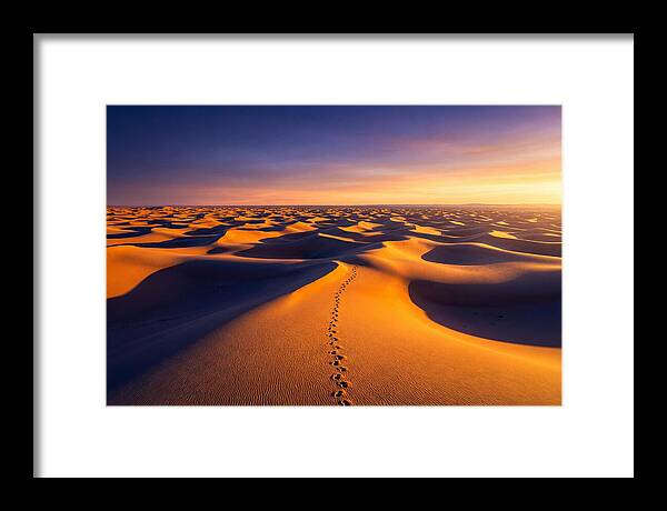 Sahara Desert Sunrise Serenity