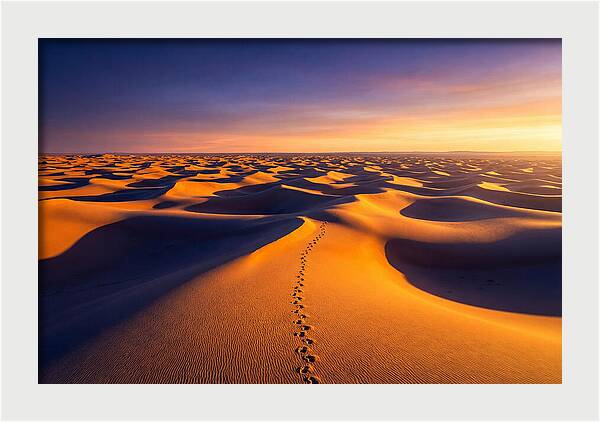 Sahara Desert Sunrise Serenity