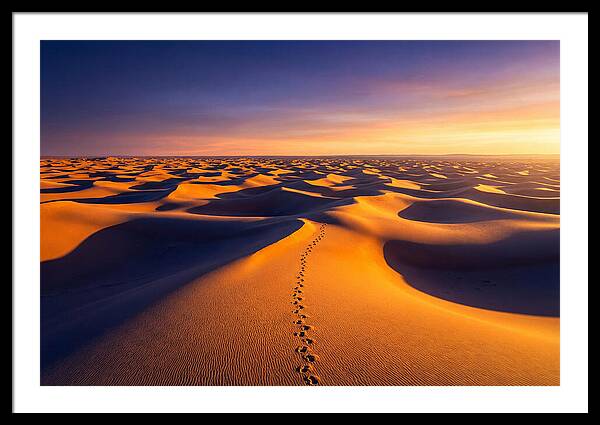 Sahara Desert Sunrise Serenity