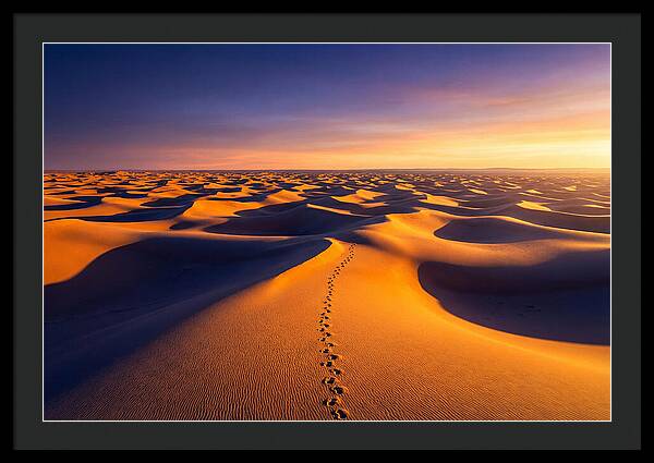 Sahara Desert Sunrise Serenity