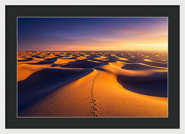 Sahara Desert Sunrise Serenity