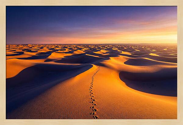 Sahara Desert Sunrise Serenity