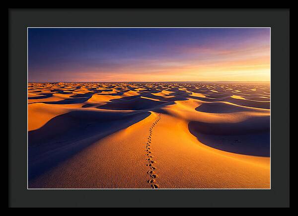 Sahara Desert Sunrise Serenity