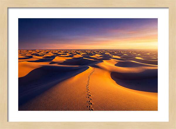 Sahara Desert Sunrise Serenity