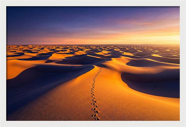 Sahara Desert Sunrise Serenity