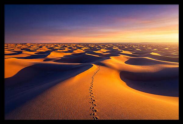 Sahara Desert Sunrise Serenity