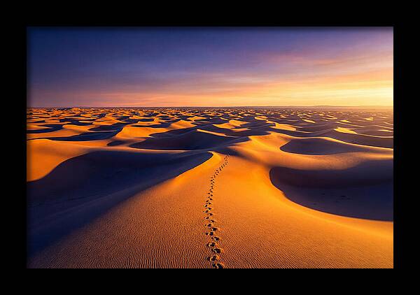 Sahara Desert Sunrise Serenity