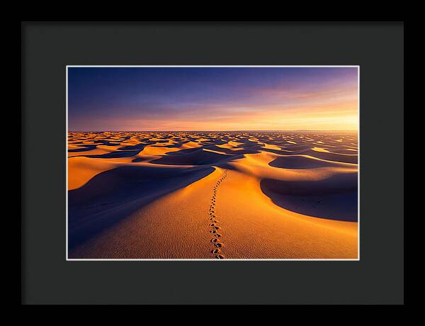 Sahara Desert Sunrise Serenity