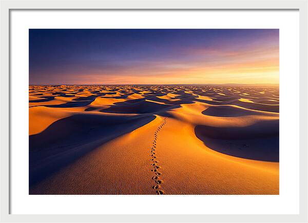 Sahara Desert Sunrise Serenity