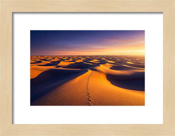 Sahara Desert Sunrise Serenity