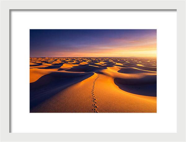 Sahara Desert Sunrise Serenity