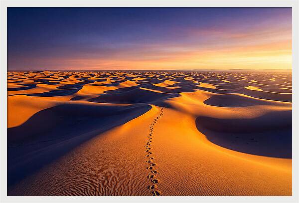 Sahara Desert Sunrise Serenity