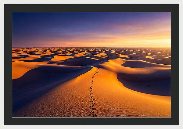 Sahara Desert Sunrise Serenity