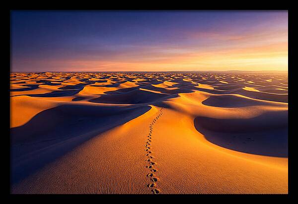 Sahara Desert Sunrise Serenity