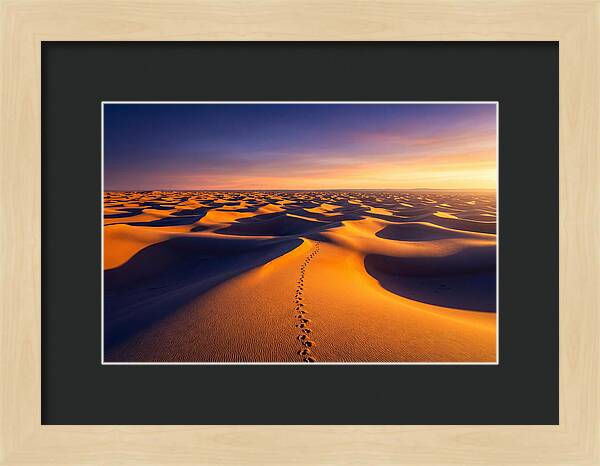 Sahara Desert Sunrise Serenity