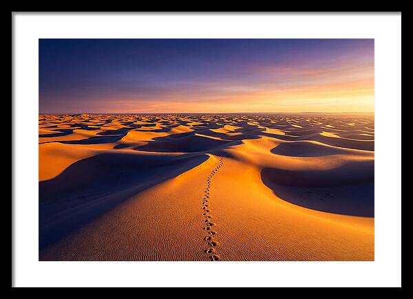 Sahara Desert Sunrise Serenity