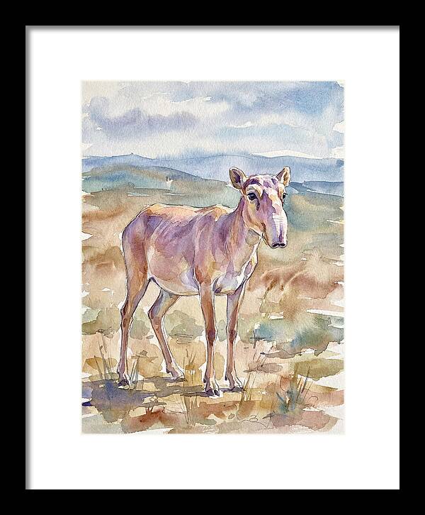 Saiga Antelope In Watercolor