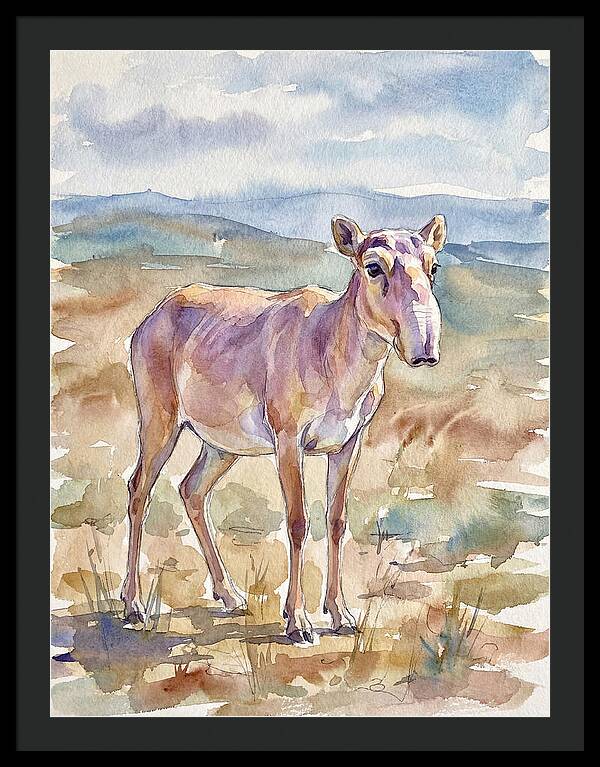Saiga Antelope In Watercolor