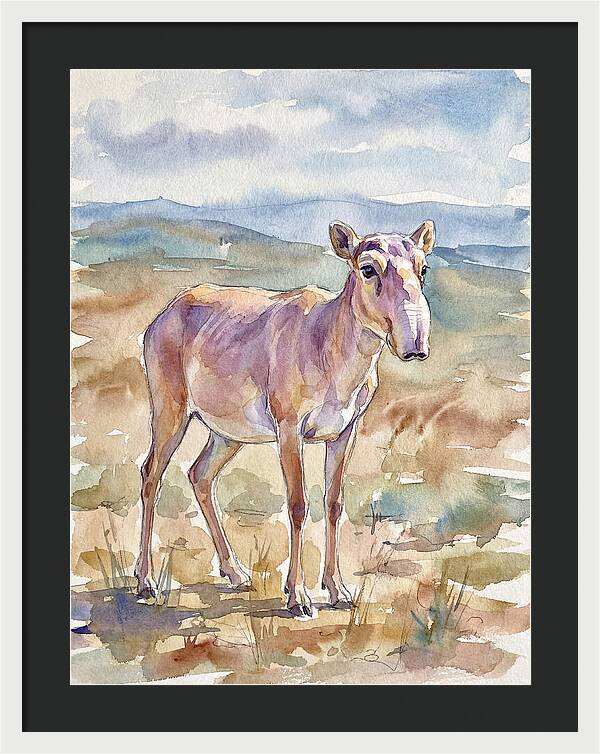 Saiga Antelope In Watercolor