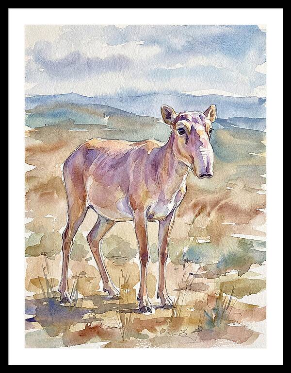 Saiga Antelope In Watercolor