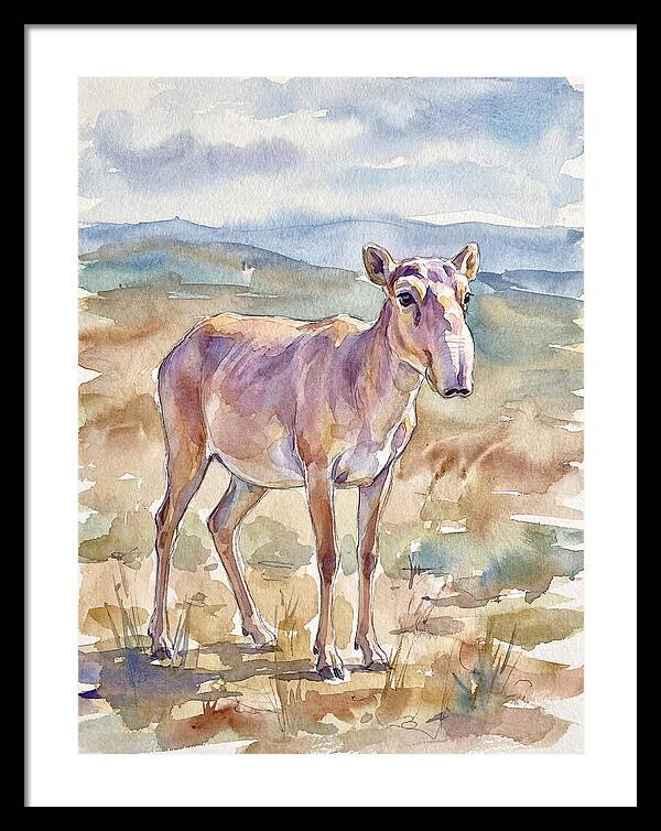 Saiga Antelope In Watercolor