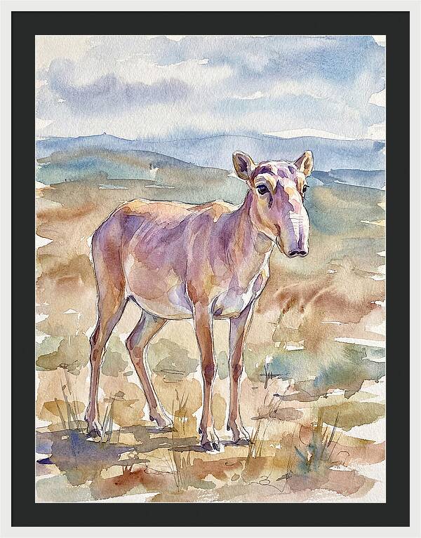Saiga Antelope In Watercolor