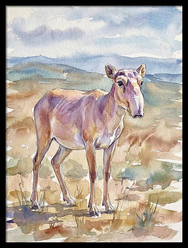 Saiga Antelope In Watercolor
