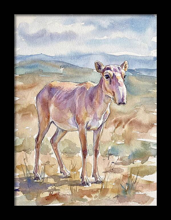 Saiga Antelope In Watercolor