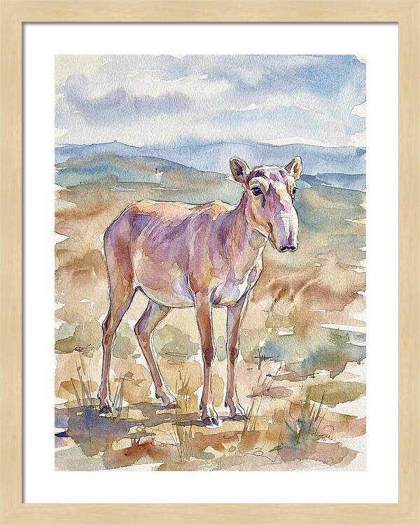 Saiga Antelope In Watercolor