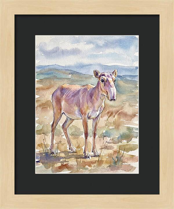 Saiga Antelope In Watercolor