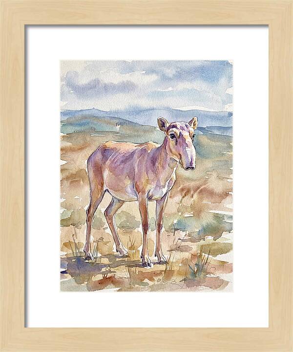 Saiga Antelope In Watercolor