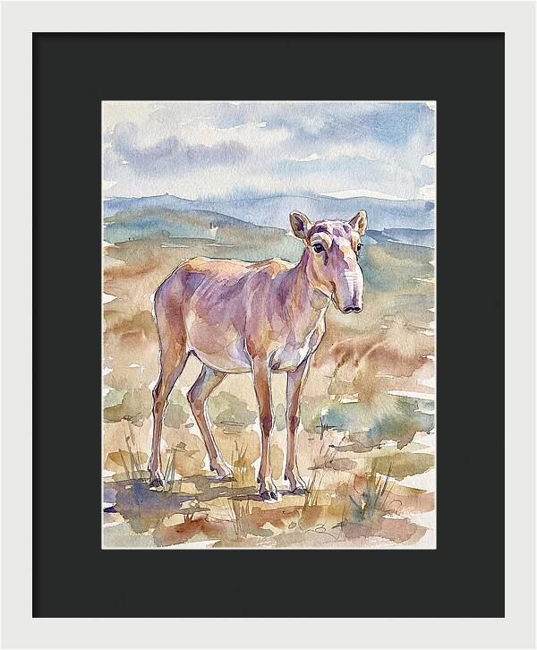 Saiga Antelope In Watercolor